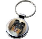 shetland_sheepdog_088-701 